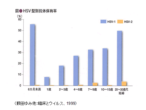 図：HSV型別抗体保有率